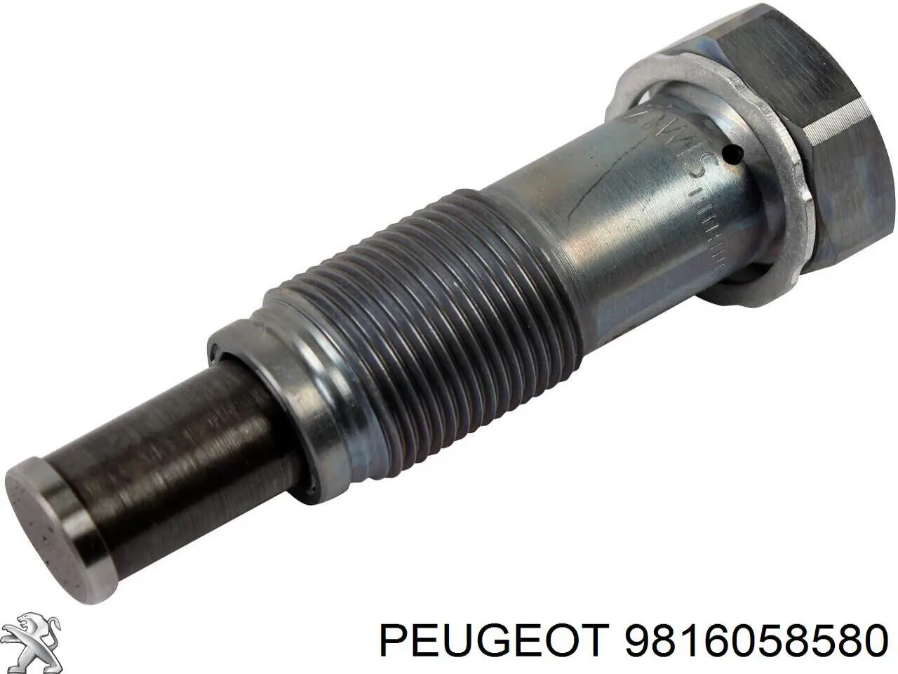 Comprar 9816058580 Peugeot/Citroen Tensor de cadena de distribución