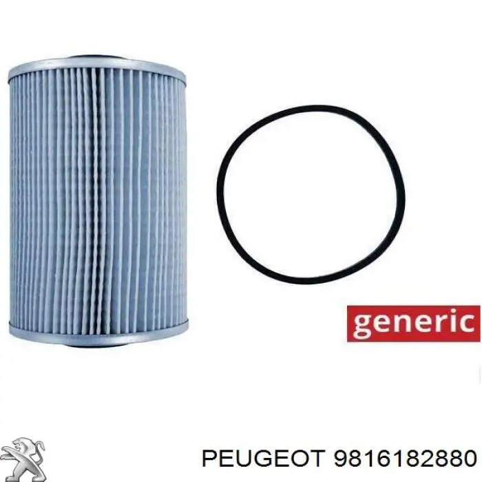 Carcasa del filtro de combustible Peugeot/Citroen 9816182880 precio, desde 105,14 EUR