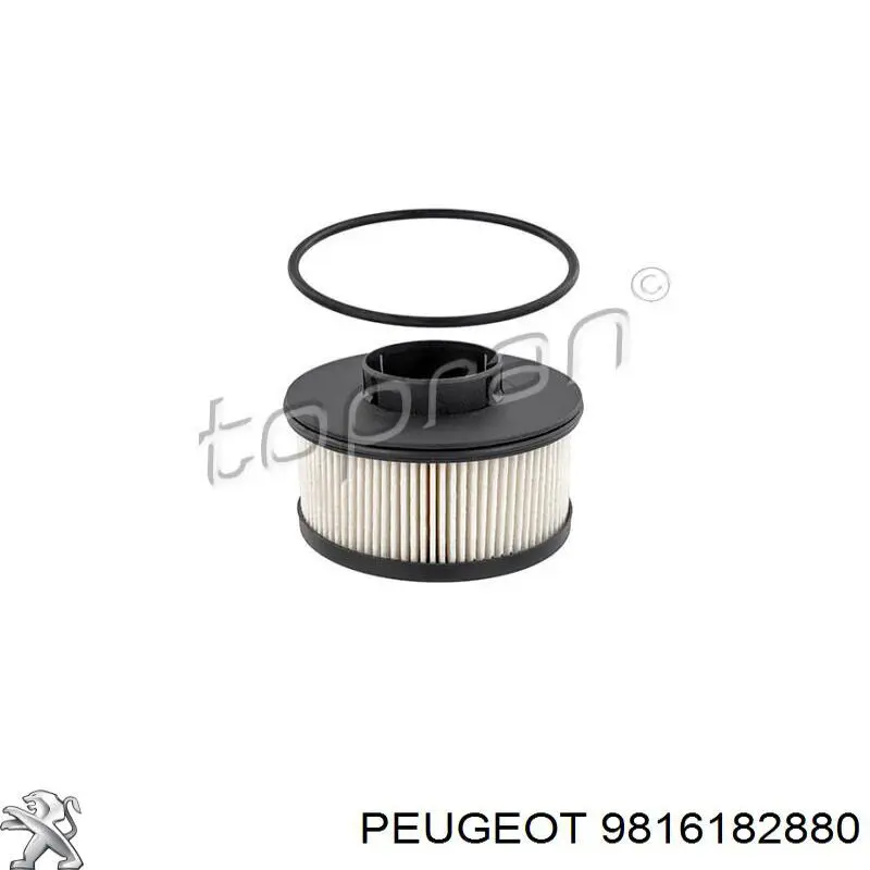 Comprar 9816182880 Peugeot/Citroen Caja del filtro de combustible