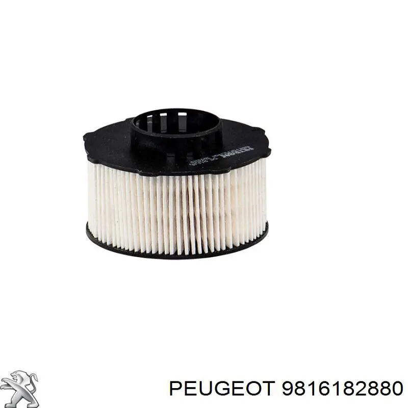 9816182880 Peugeot/Citroen Caja del filtro de combustible