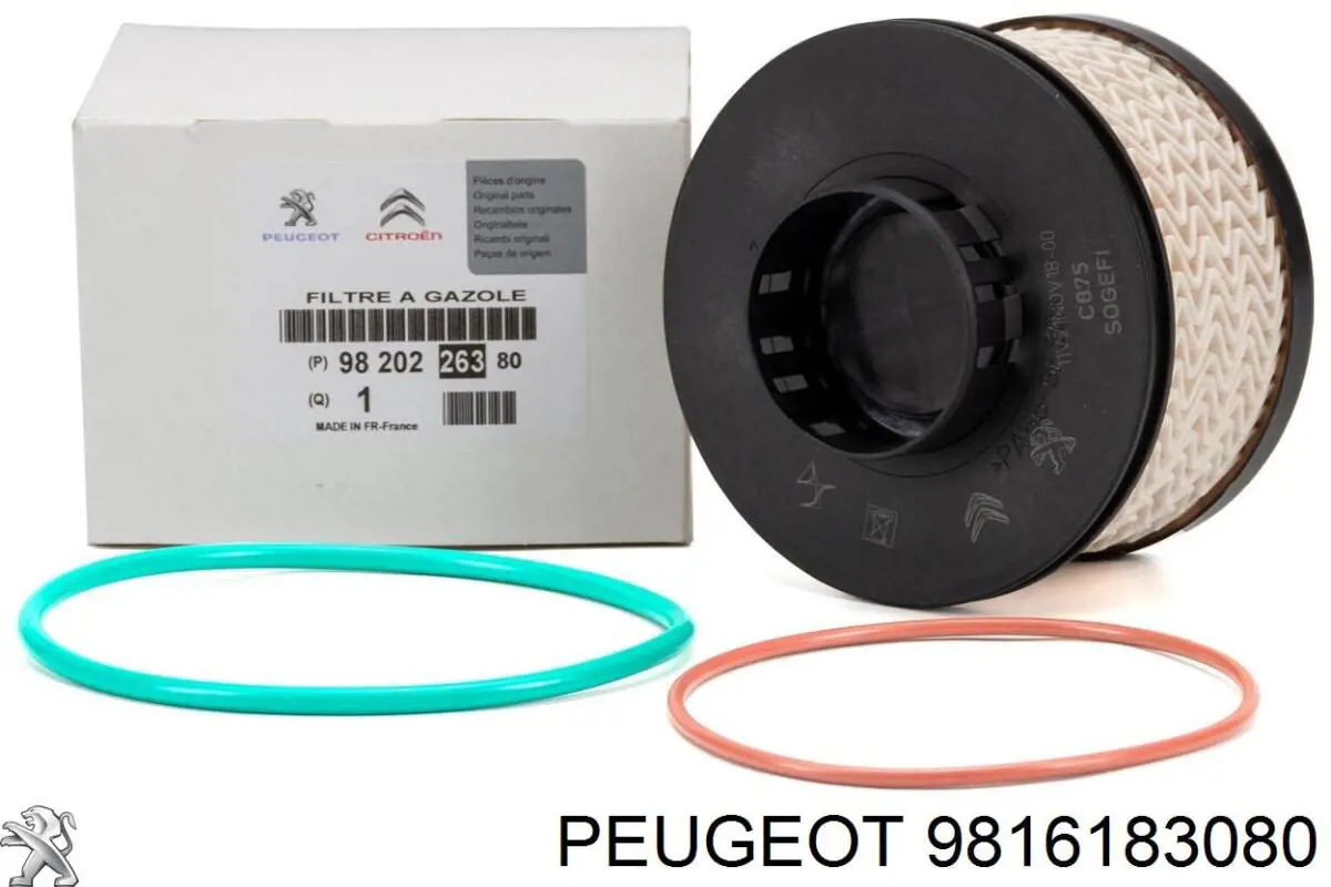 Comprar 9816183080 Peugeot/Citroen Caja del filtro de combustible