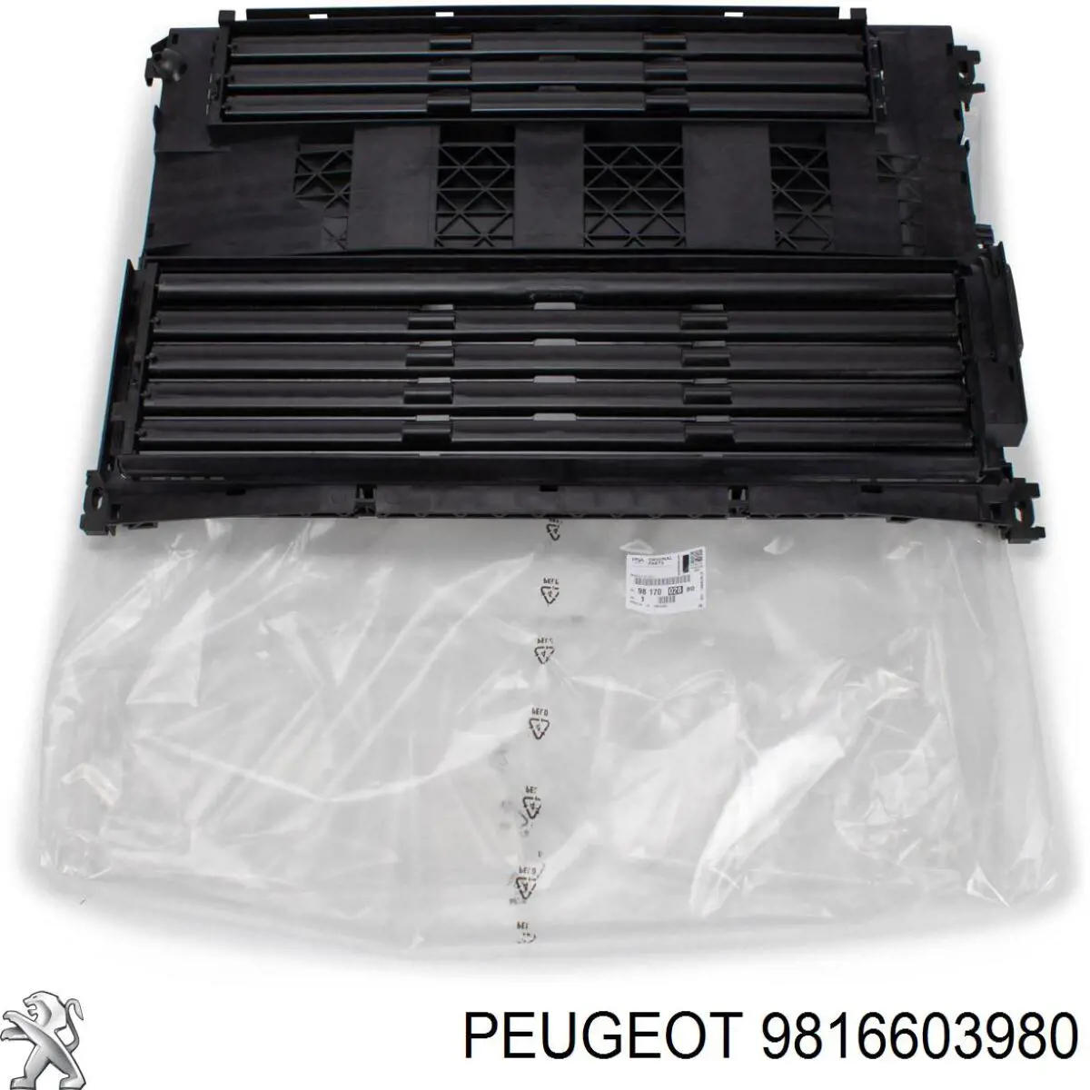 9816603980 Peugeot/Citroen