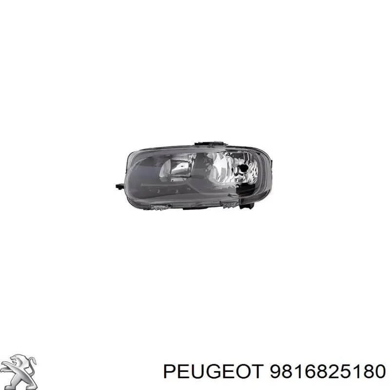 9816825180 Peugeot/Citroen