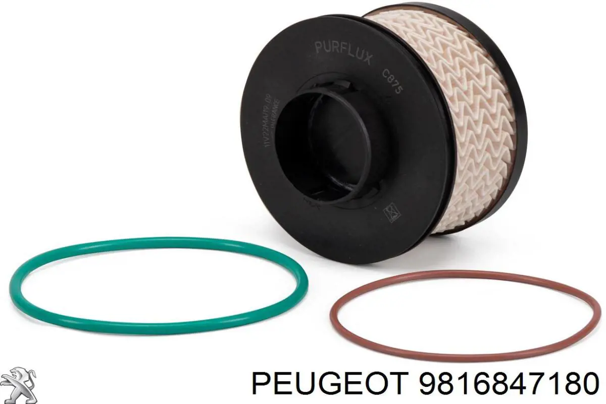 9816847180 Peugeot/Citroen Caja del filtro de combustible