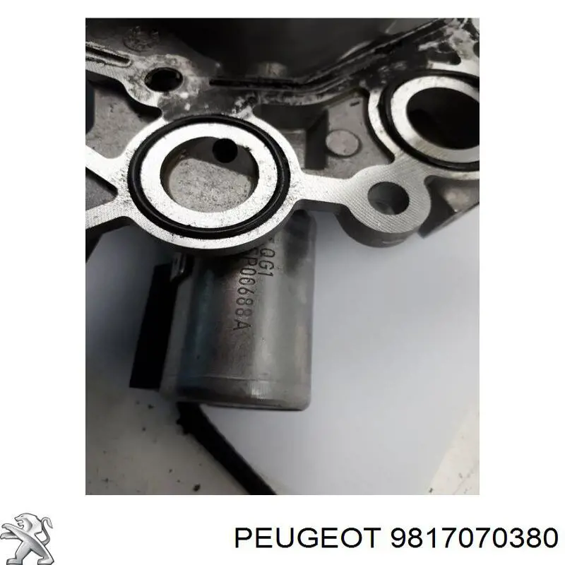Válvula reguladora de presión de aceite Peugeot/Citroen 9817070380 precio, desde 120,23 EUR