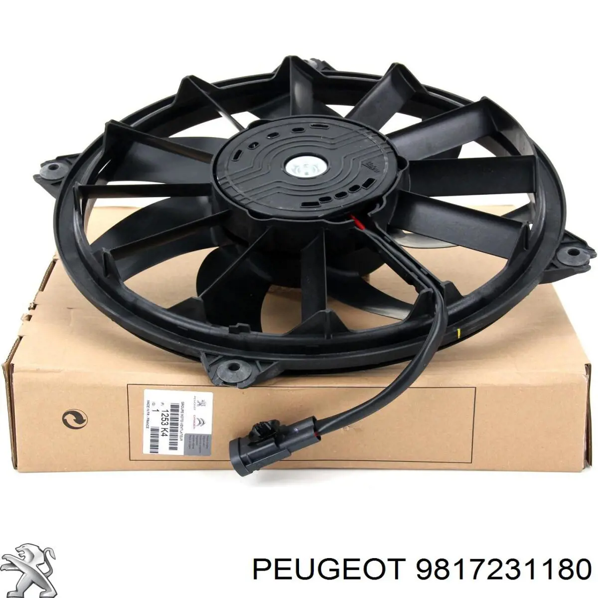  9817231180 Peugeot/Citroen