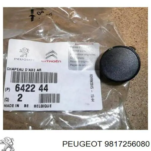 Comprar 9817256080 Peugeot/Citroen Filtro diesel