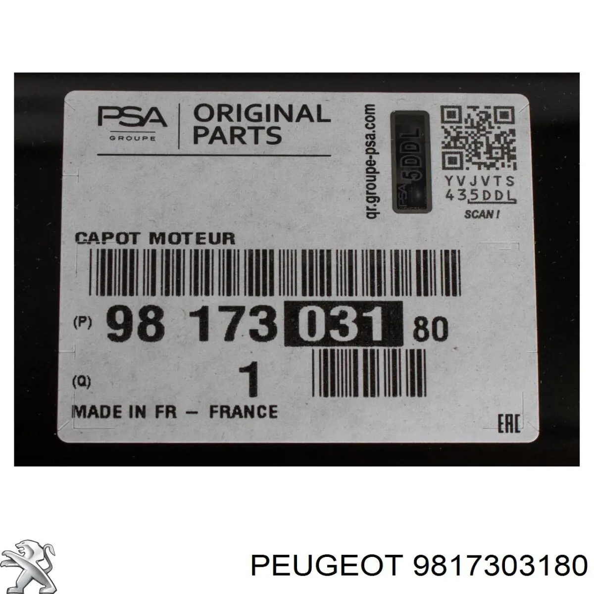 9817303180 Peugeot/Citroen Capó delantero