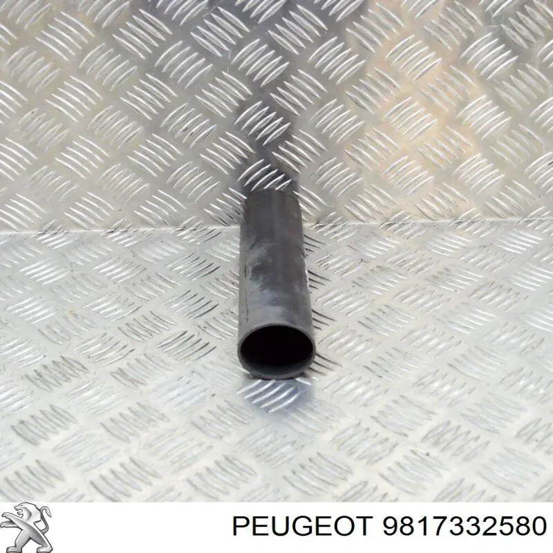 Caperuza protectora/fuelle, amortiguador trasero  Peugeot/Citroen 9817332580