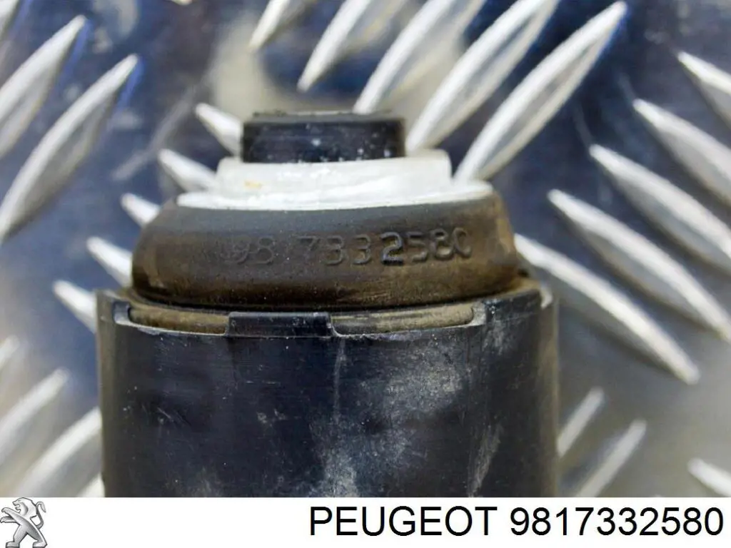 Guardapolvo del amortiguador trasero Peugeot/Citroen 9817332580 precio, desde 13,75 EUR