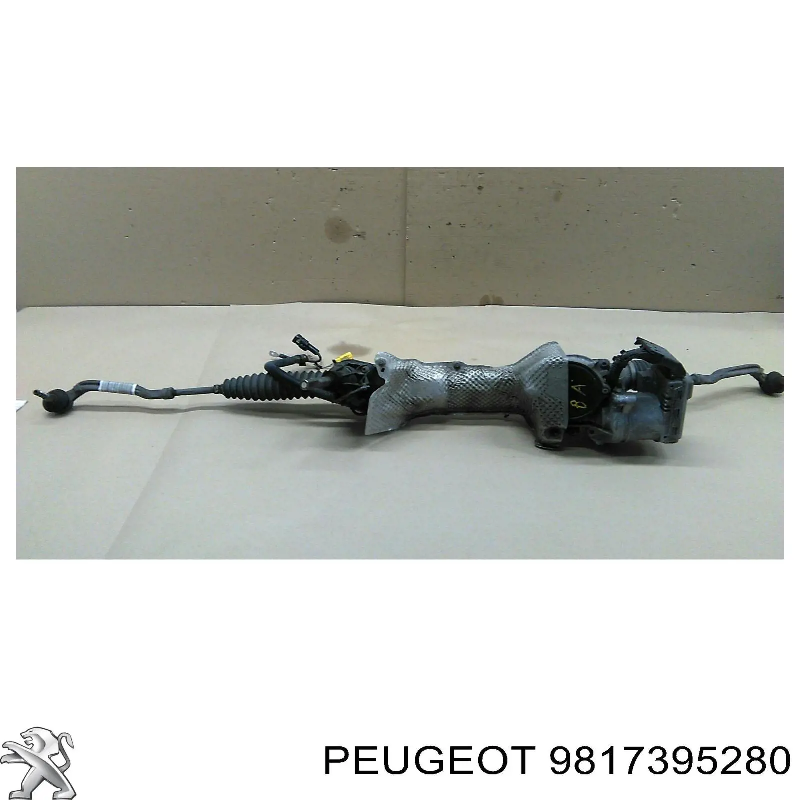 Guardalodos interior izquierdo, guardafango delantero Peugeot/Citroen 9817395280 precio, desde 81,31 EUR