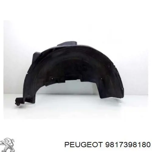 9817398180 Peugeot/Citroen