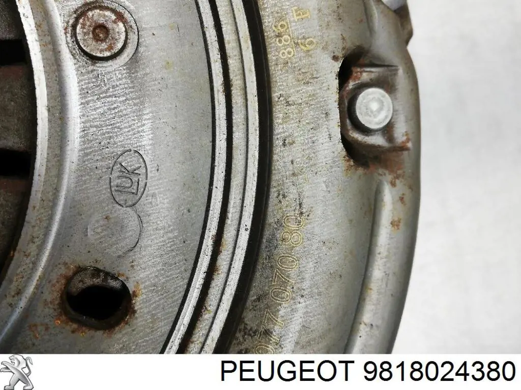 Motor de volante Peugeot/Citroen 9818024380 precio, desde 434,05 EUR