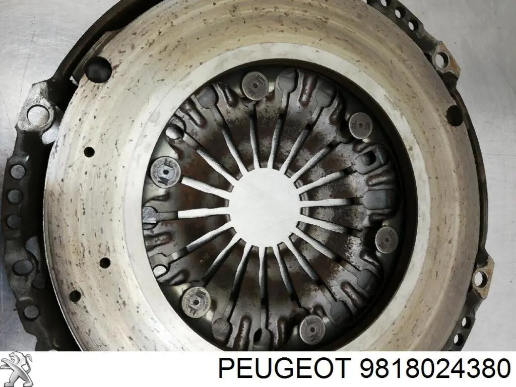 Comprar 9818024380 Peugeot/Citroen Volante de motor bimasa