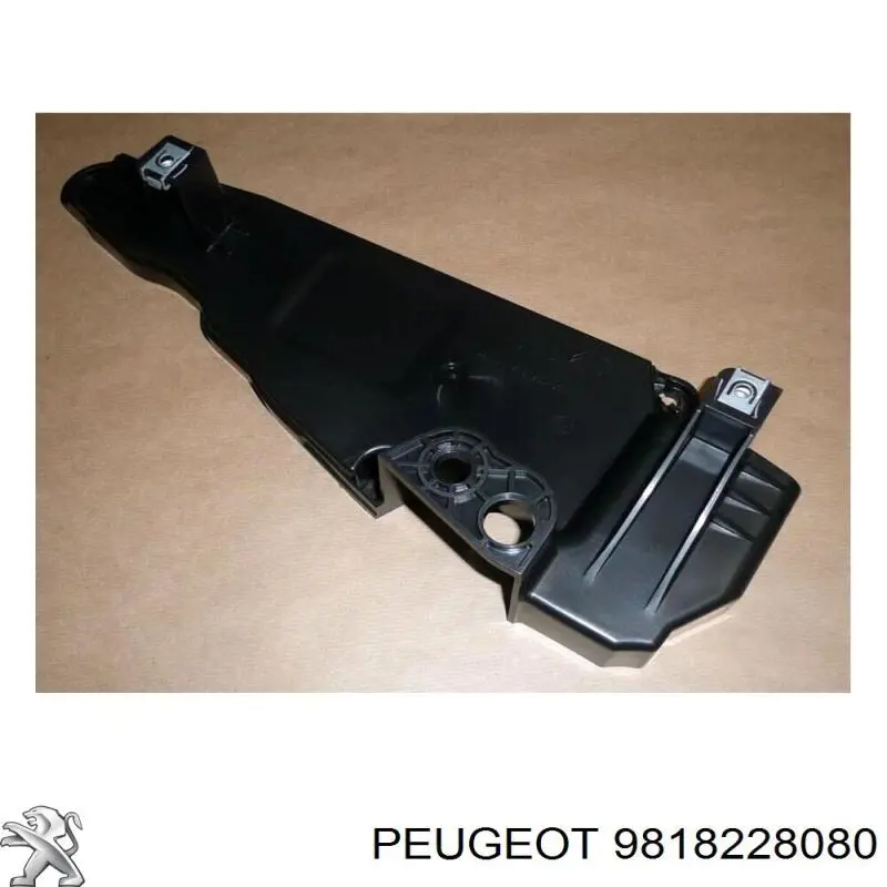  Peugeot/Citroen 9818228080 precio, desde 47,87 EUR