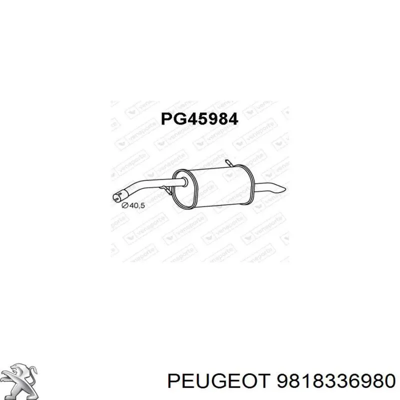 9818336980 Peugeot/Citroen