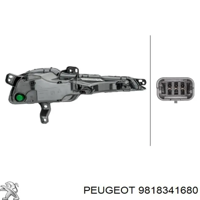 9818341680 Peugeot/Citroen Intermitente izquierdo