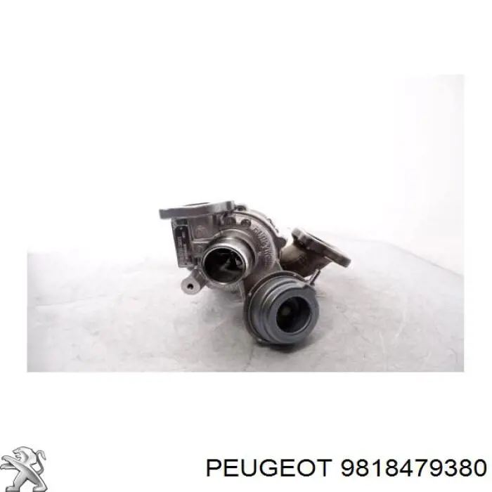 9818479380 Peugeot/Citroen turbocompresor