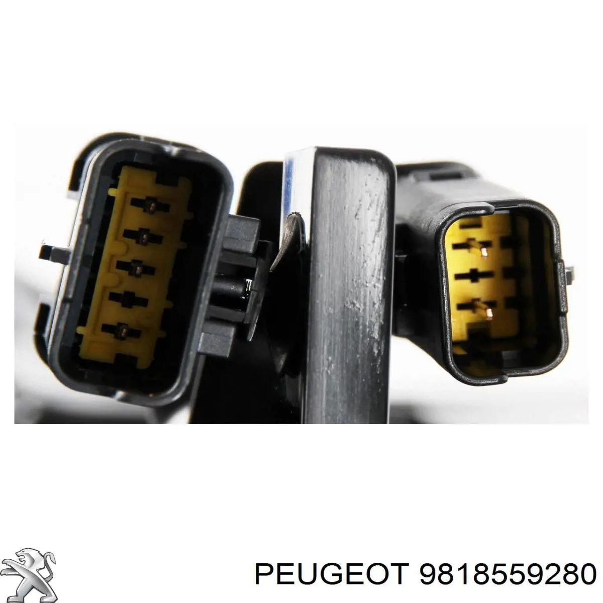 9818559280 Peugeot/Citroen Deposito de urea