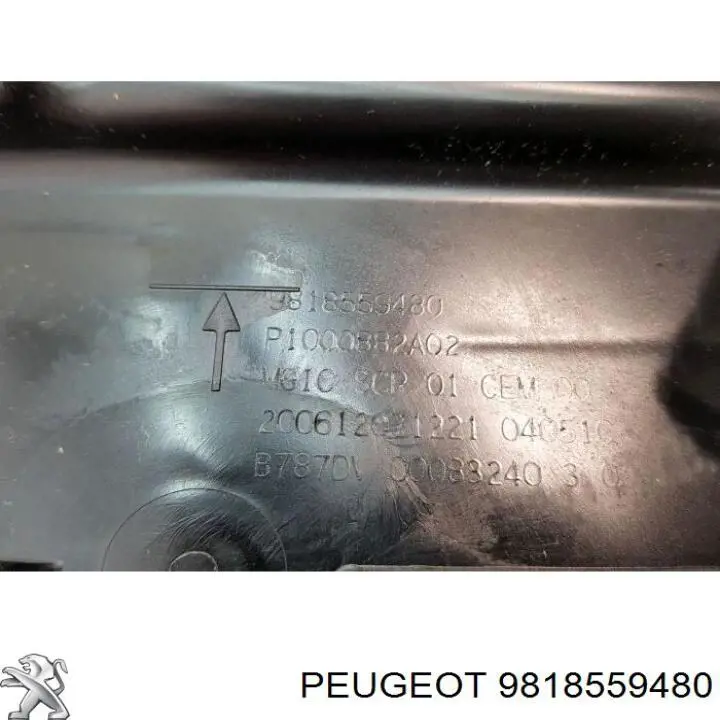 Deposito AdBlue 9818559480 Peugeot/Citroen