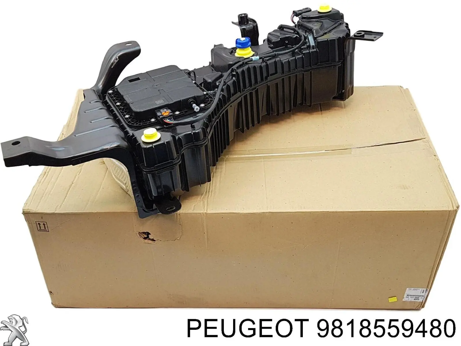 9818559480 Peugeot/Citroen Deposito de urea