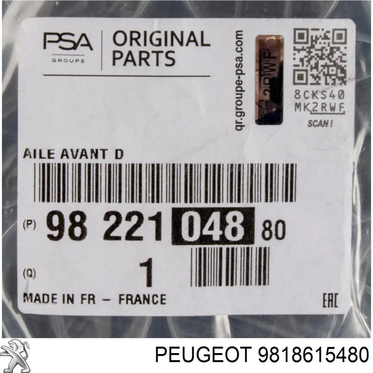 9822104880 Peugeot/Citroen Aleta delantera