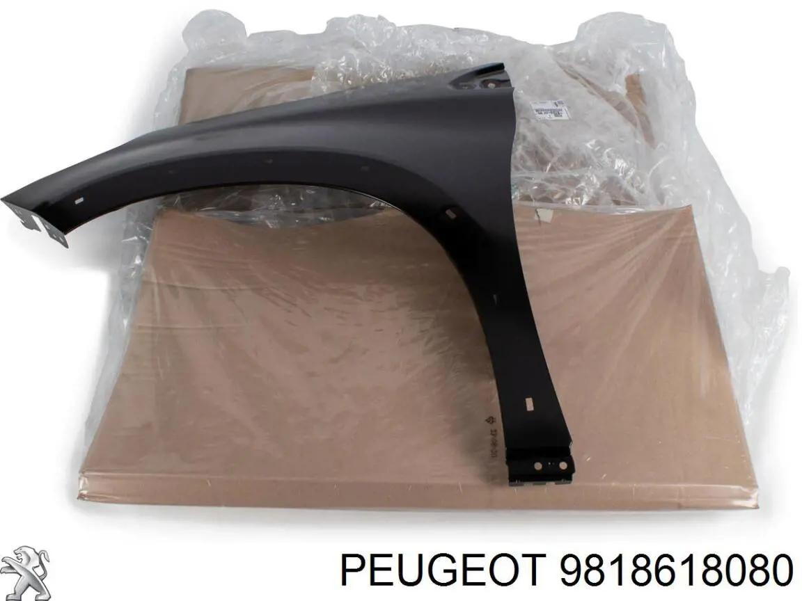 9818618080 Peugeot/Citroen Aleta delantera izquierda
