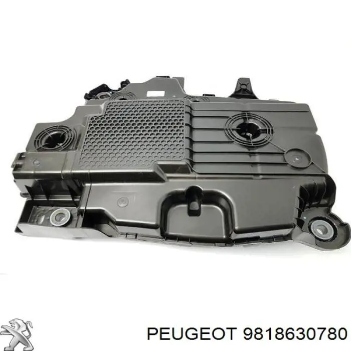 9818630780 Peugeot/Citroen Deposito de urea