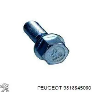 9818845080 Peugeot/Citroen tornillo de rueda