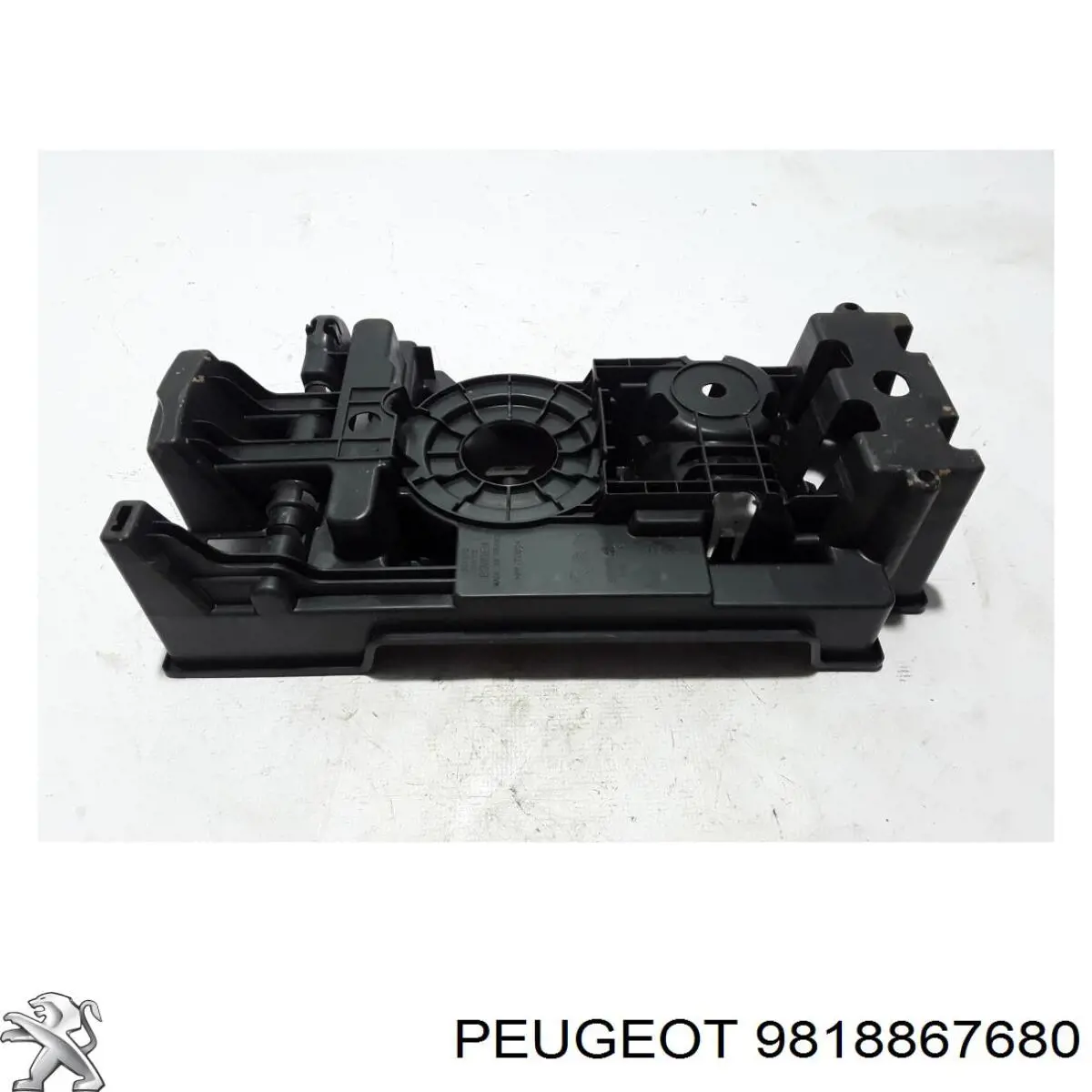  9818867680 Peugeot/Citroen