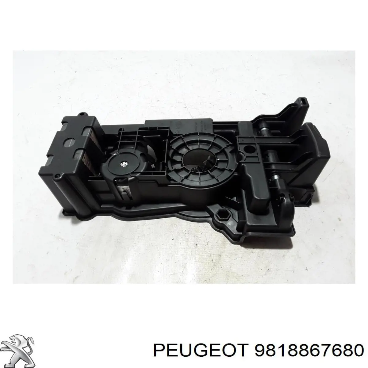 9818867680 Peugeot/Citroen 