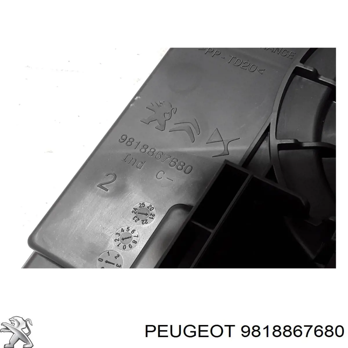 Comprar 9818867680 Peugeot/Citroen 