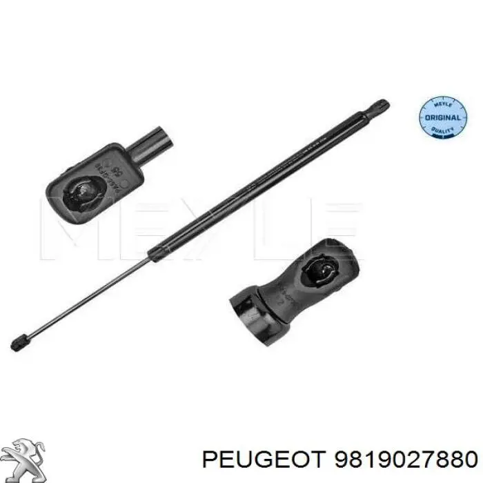 Comprar 9819027880 Peugeot/Citroen Amortiguador de puerta trasera