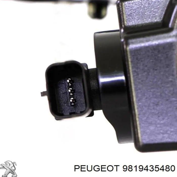 9819435480 Peugeot/Citroen