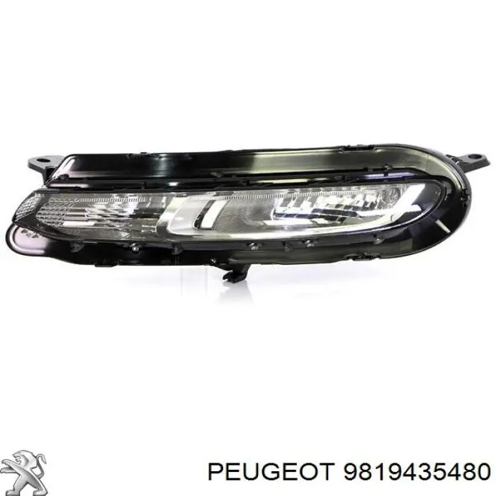 9819435480 Peugeot/Citroen 