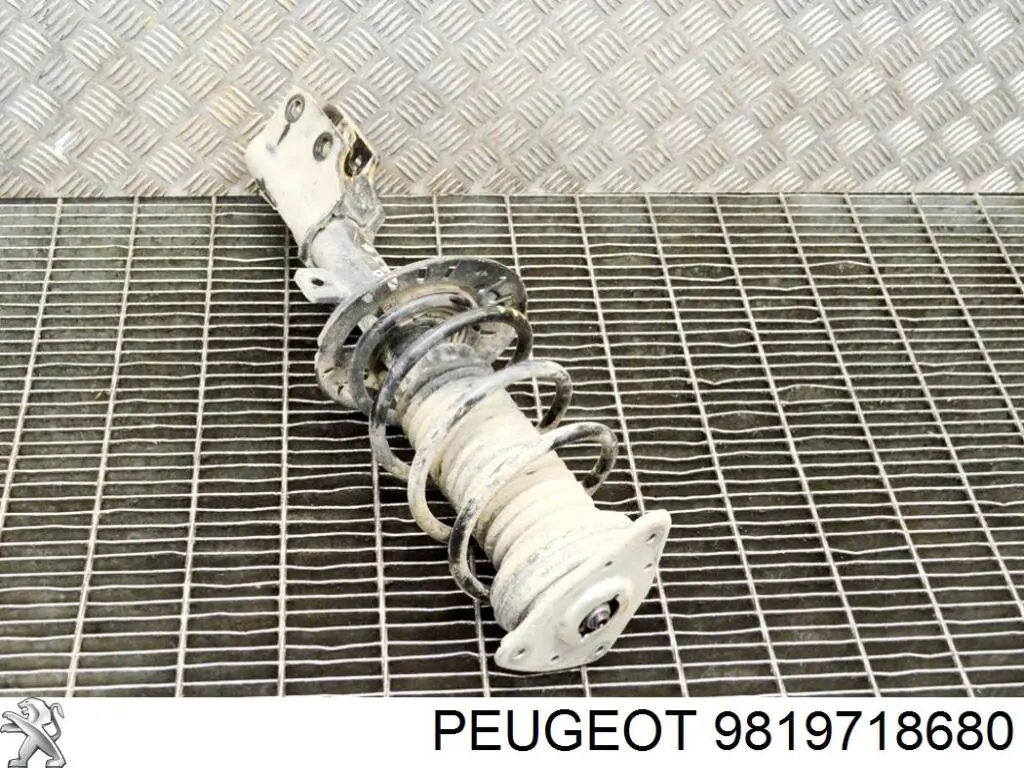 9819718780 Peugeot/Citroen Amortiguador frontal