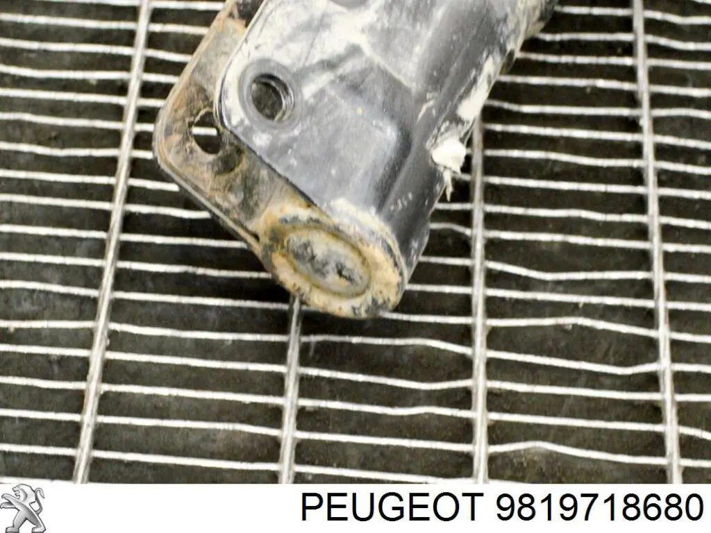 Amortiguadores Peugeot/Citroen 9819718780 precio, desde 74,02 EUR