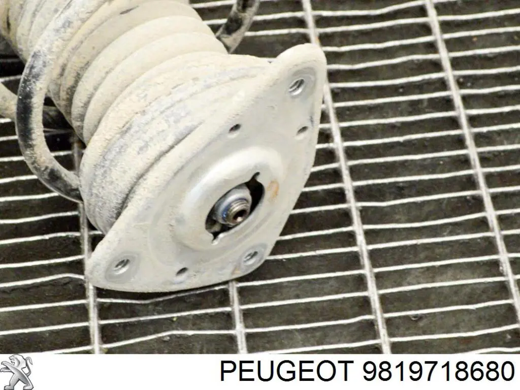 Amortiguador delantero Peugeot/Citroen 9838262380