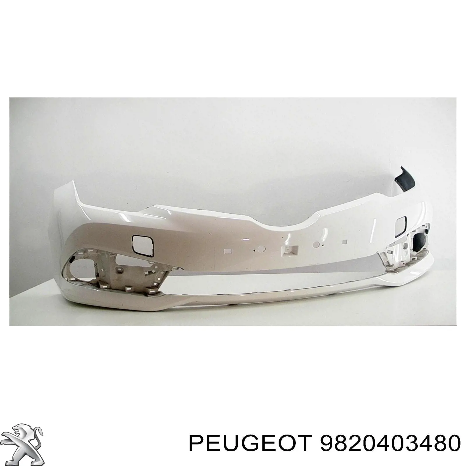 9820403480 Peugeot/Citroen inyector