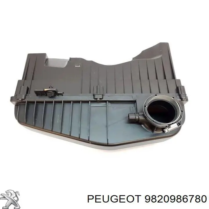 9820986780 Peugeot/Citroen Carcasa del filtro de aire