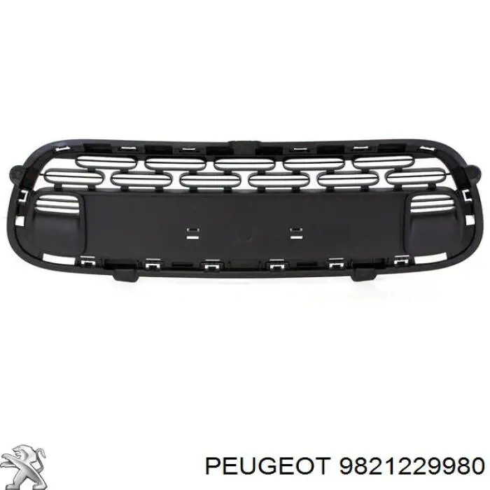 9821229980 Peugeot/Citroen Rejilla de ventilación, parachoques delantero, central