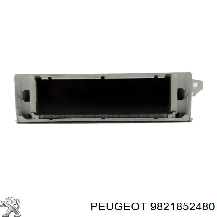  Peugeot/Citroen 9821852480 precio, desde 120,52 EUR