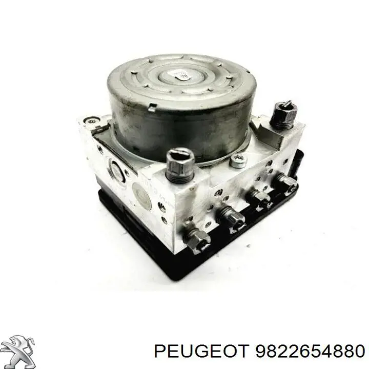  9822654880 Peugeot/Citroen