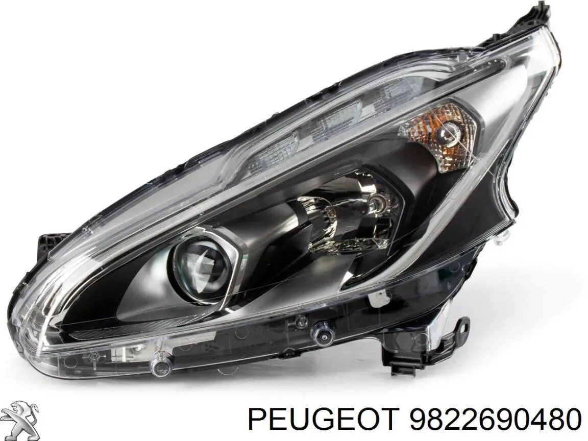 9822690480 Peugeot/Citroen Luz derecha