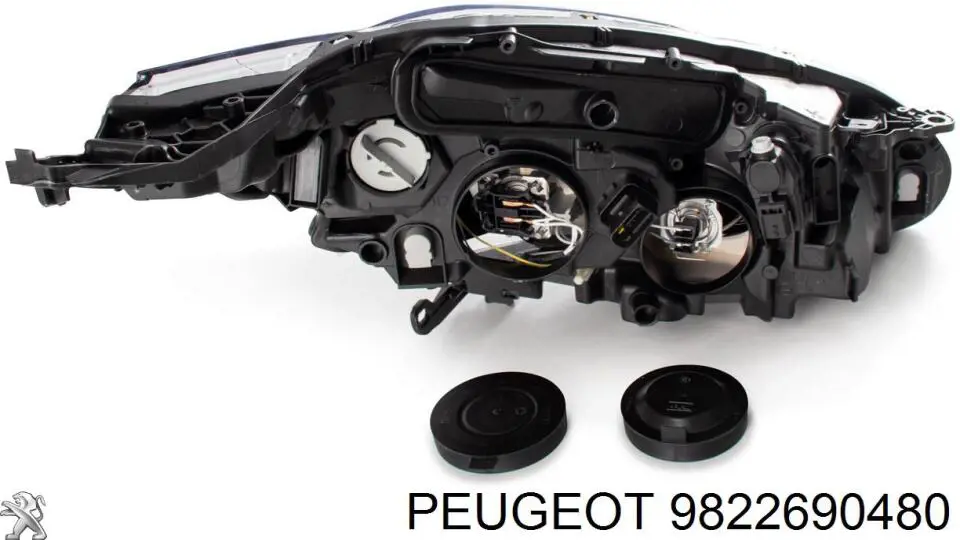 9822690480 Peugeot/Citroen