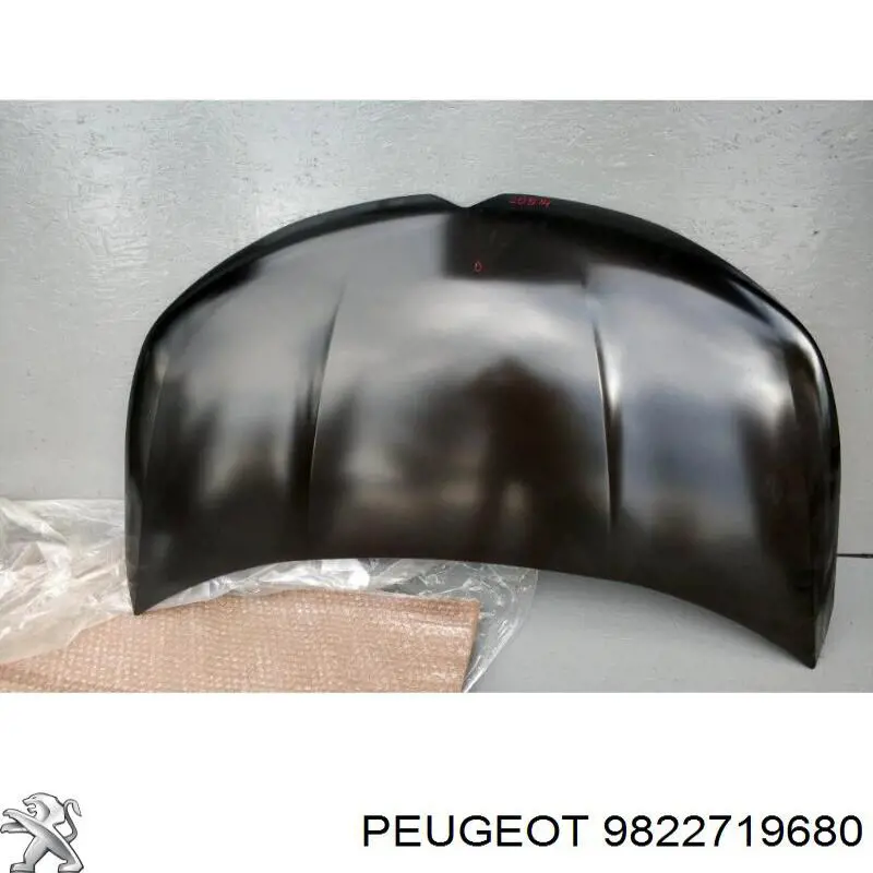 Comprar 9822719680 Peugeot/Citroen Capó