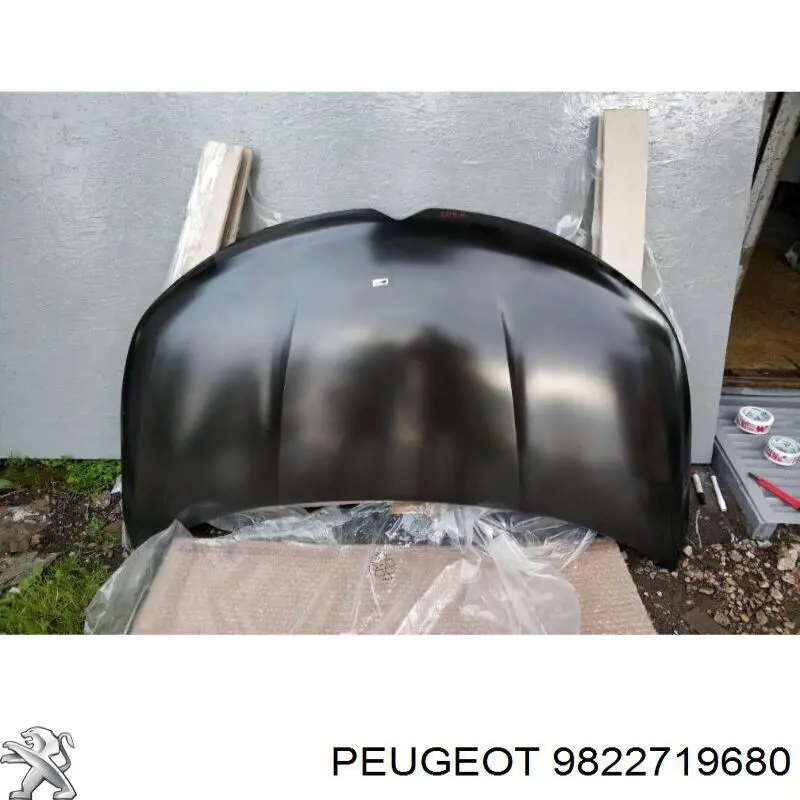 9822719680 Peugeot/Citroen
