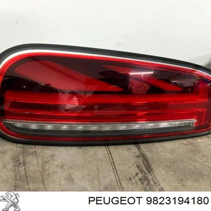  9823194180 Peugeot/Citroen