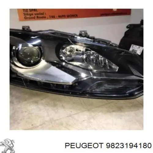 9823194180 Peugeot/Citroen 