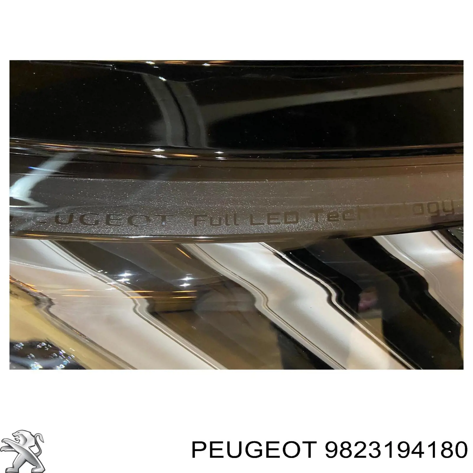  9823194180 Peugeot/Citroen